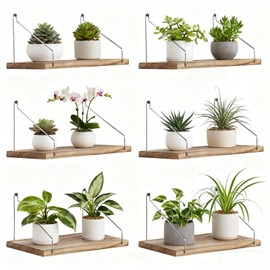 VZZNN Fabric Wall Cubicle Shelf with Hooks (11.8' Wooden), Office Wall Shelves with 12 W-Shaped Hooks for Home, Restaurant, Office Decoration and Storage