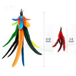 miwoowim Da Bird Feather Refill - 2 Extra-Large Natural Replacement Attachments(13.8inch) and 4 Feather Toys Refills(5.8inch) for Indoor Cats,Cat Wand Attachment (6PCS)