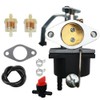 LIZAPUS Carburetor Carb Compatible with Coleman Powermate 5500 watt Generator