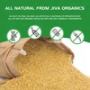 Organic Bulgur Wheat Coarse #3 2 LB - Non-GMO, Grown