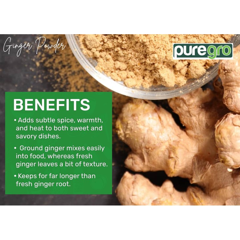Puregro Ginger Powder 100g | PACK OF 1 | Ground