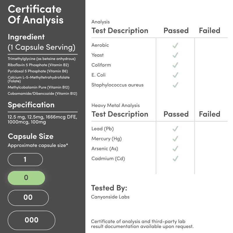 Methylated Multivitamin (Methylated and Activated Vitamins Only - Methylated B
