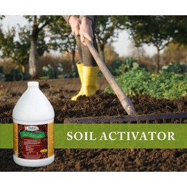 Medina Liquid Soil Activator - Liquid Fertilizer for Indoor & Outdoor Plants - Promotes Root Growth, Balances Soil Compaction - Ideal Plant Food for Houseplants - Covers up to 4000 Sq. Ft. - 1 Gal