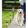 BITPOTT 4 Pack Solar Pathway Lights Waterproof IP65, 2-in-1 Warm&Cool