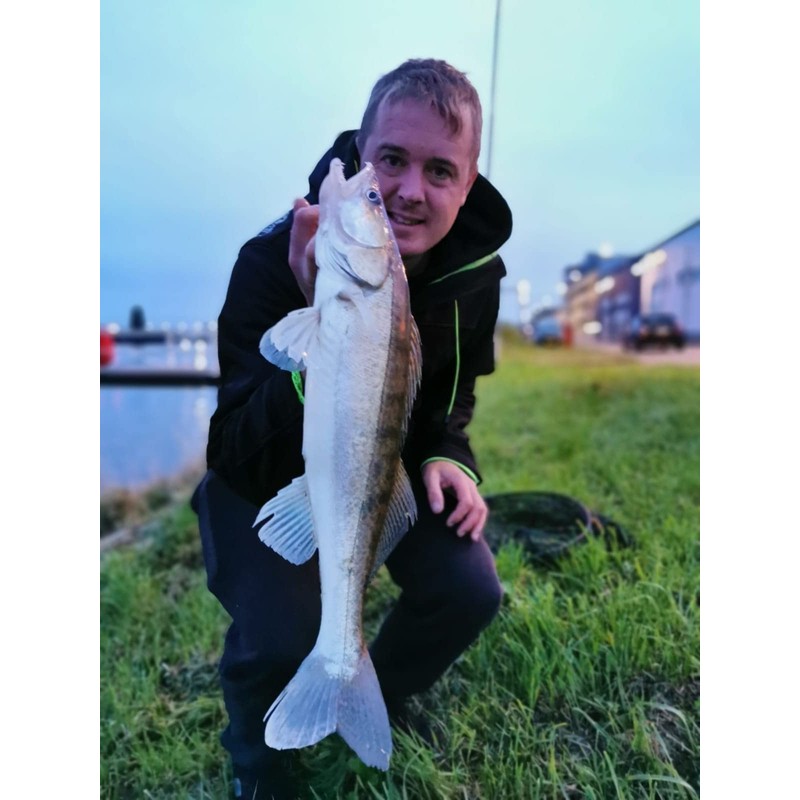 Major Fish Zander Wobbler Airbrush Hot Colours Zetti 10 cm