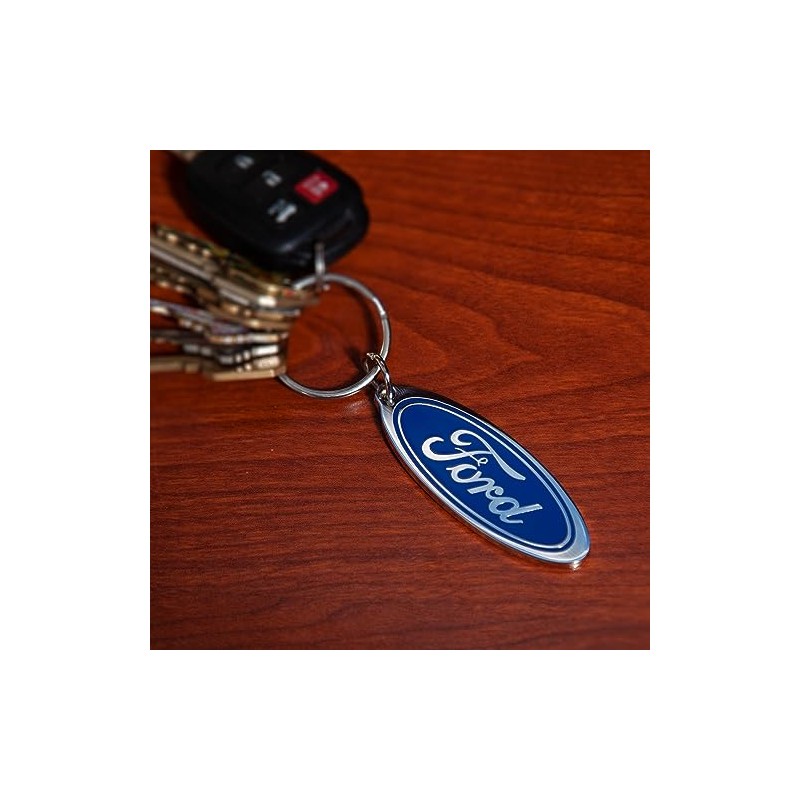 Plasticolor Llavero Esmaltado con Logo Ovalado 004191R01, Plateado