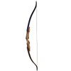 Fleetwood Edge Recurve Limbs (55)
