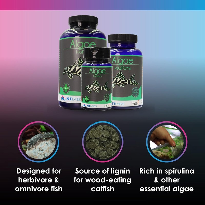 NT Labs Pro-f Algae Wafers, Food For Bottom Feeding Fish