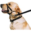 Ancol Nylon Training Halter, Black, size Large (5-6) 54 cm