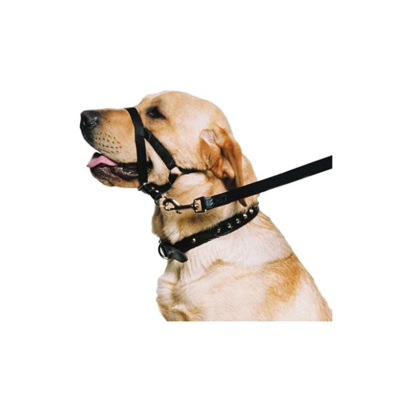 Ancol Nylon Training Halter, Black, size Large (5-6) 54 cm