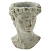 The Bridge Collection Antique Style Old World Greek Statue Head
