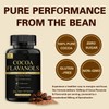 High Flavanol Cocoa Powder Supplement | 1200mg Flavanols Complex for