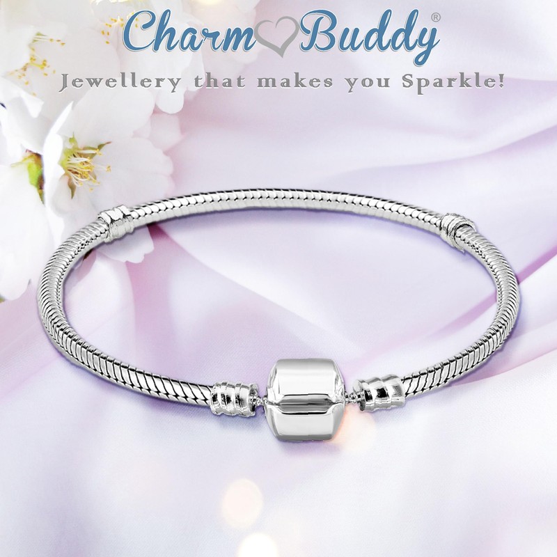 Granddaughter Silver Starter Charm Bracelet with Pendant and Gift Box