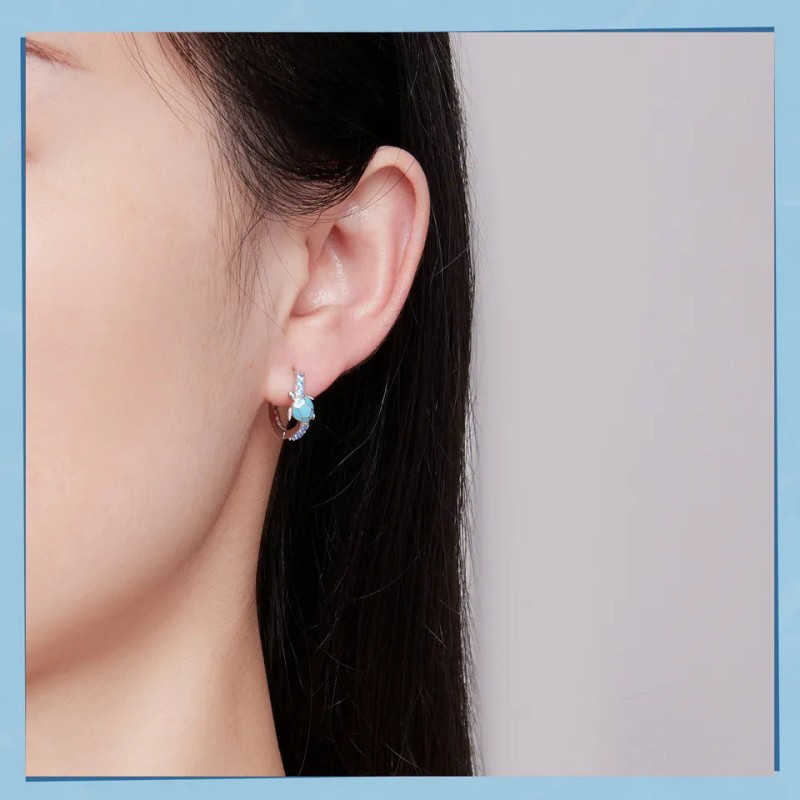 Hermosos Pendientes Aretes Plata 100% Diseño Tortugas