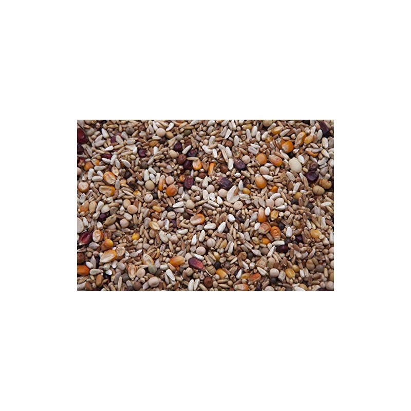 High Energy Pigeon Mix (16%) 20 lbs