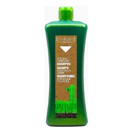 Shampoo Anticaspa Salerm Biokera 1lt