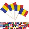 JBCD Romania Toothpick Flag Romanian Mini Small Cupcake Topper Flags,