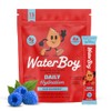 Waterboy Hidrataci Diaria Sobres Electrolitos Polvo 1570