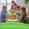 Root Viewer Kit for Kids - Grow Your Own Kids