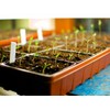 Fast-Gro Propagation Mats Original from Manufacturer Size 11" x 48"
