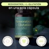 Resveratrol y Glutatión - Mezcla de Antioxidantes, Vitalidad y Energía