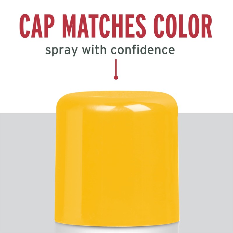 Rust-Oleum 393376 Stops Rust Turbo Spray Paint, 24 oz, Gloss