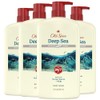 Old Spice Men's Body Wash Deep Cleanse with Deep Sea