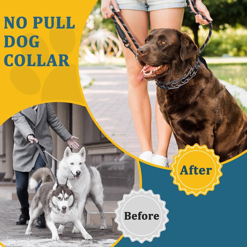 Mayerzon Martingale Prong Collar for Large Medium Dogs that Pull