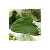 Gua Sha Cuarzo Verde Masaje Facial Antienvejecimiento Rostro Diler