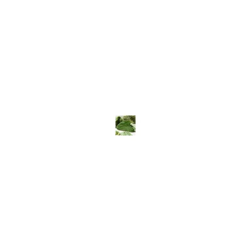 Gua Sha Cuarzo Verde Masaje Facial Antienvejecimiento Rostro Diler