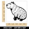 Capybara The Giant Friendly Rodent Square Rubber Stamp for Stamping