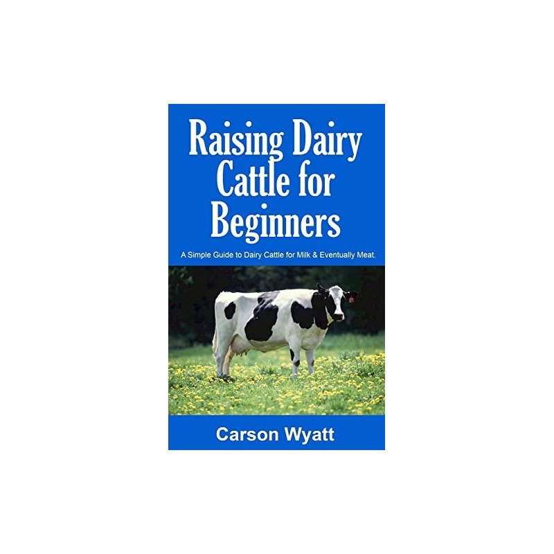Raising Dairy Cattle for Beginners: A Simple Guide to Dairy