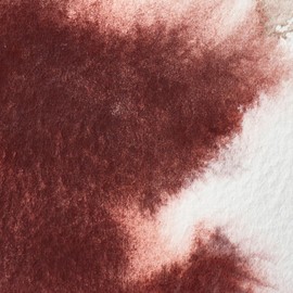 Winsor & Newton ウィンザー&ニュートン 絵具 『プロフェッショナル ウォーターカラー ハーフパン 125 キャプトモータムバイオレット 3102125』