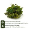Netuno Decorative Moss Dark Green 30 g Natural Moss Reindeer