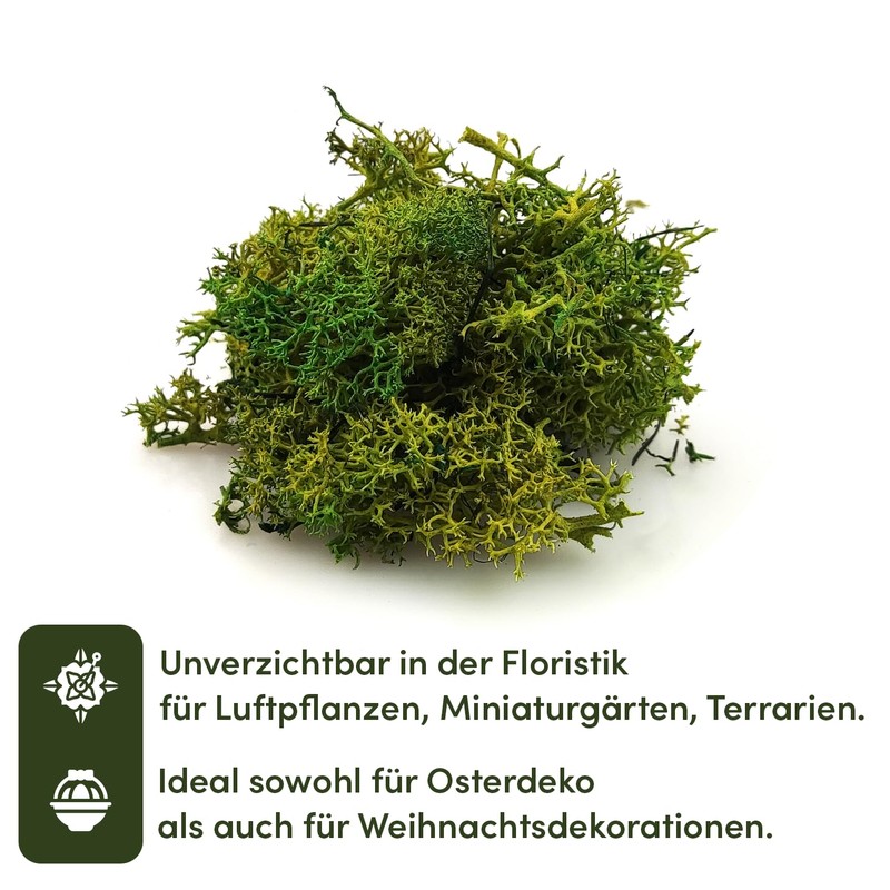 Netuno Decorative Moss Dark Green 30 g Natural Moss Reindeer