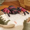 Terra by Battat – Realistic Tarantula RC Spider with Infrared