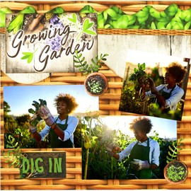 Reminisce Growing Garden Collection Scrapbook Kit Paper Crafts, Multi Color Palette