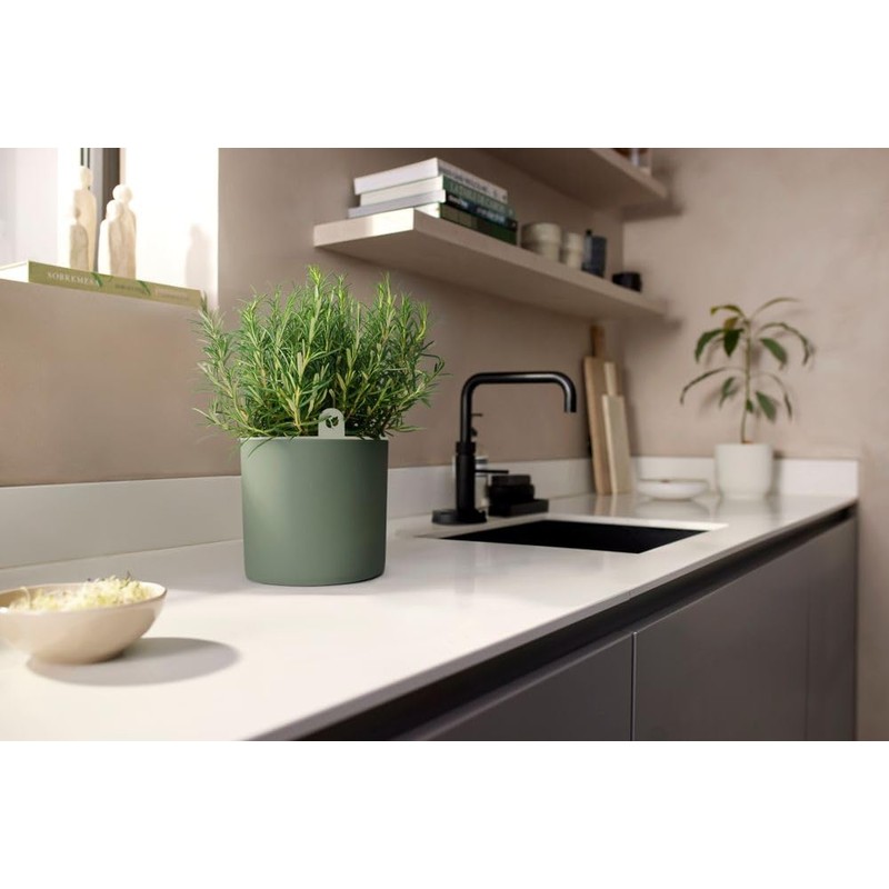 elho Happy Herbs 15 - Herb Pot Self-Watering - Propagation