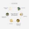 Rigenera Crema Descongestionante Manzanilla Hamamelis Bisabolol Nutrición Calma Protección Piel