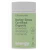 Lifestream Barley Grass Powder Premium Certified Organic Superfood Rich in