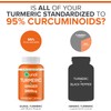 Qunol Turmeric Curcumin with Black Pepper & Ginger, 2400mg Turmeric