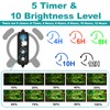 SEAOURA Submersible Aquarium Light for 12 to 23 Inch Fish