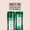Suave Shampoo and Conditioner, Rosemary & Mint – Invigorating Formula