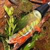 ZJNBMTFY Reptile Heat Lamp,UVA/UVB Reptile Light,360° Rotatable Clip,Turtle Heating Lamp