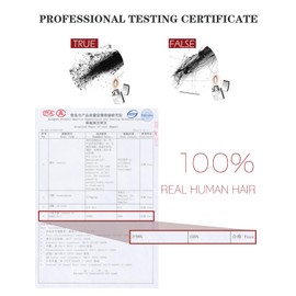 SAFIRENY Clip in Hair Extensions Real Human Hair Remy Clip in Extensions 20 Inch 7pcs 160g Double Ash Brown to Caramel Blonde Hair Extensions (#10/27/27,20'')