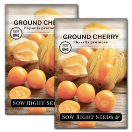 Sow Right Seeds Sow Right Seeds - Ground Cherries Seeds for Planting - Non-GMO Heirloom Packet with Instructions to Plant an Outdoor Home Vegetable Garden - Mexican Husk Tomato - Endangered Variety (2)