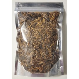 Fishy Guru 100% Dried Natural Mealworm & Cricket Mix - Birds, Reptiles, Fish, Hamsters, etc