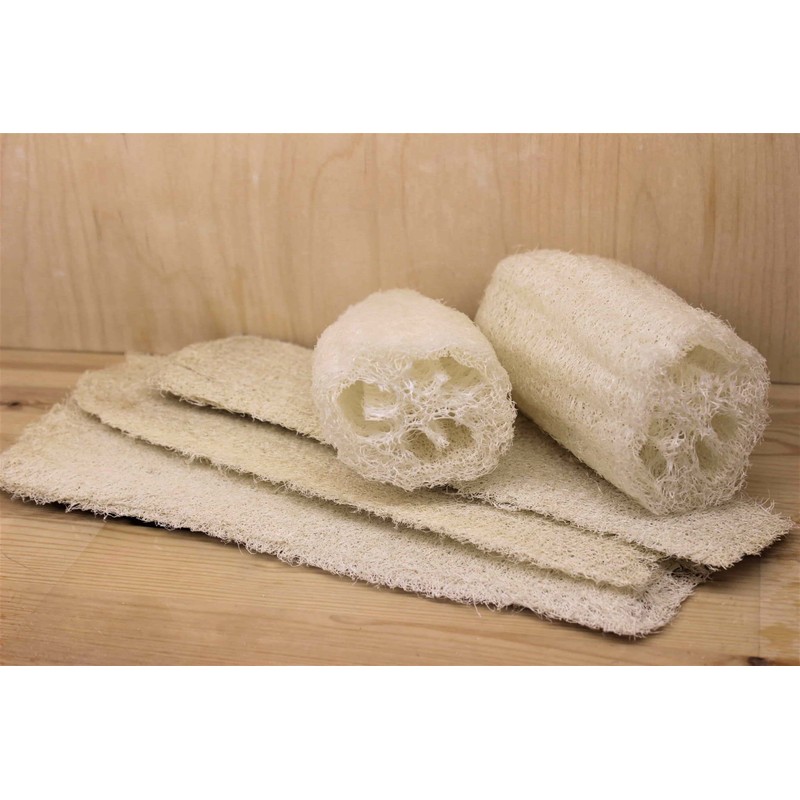 CEMEHA SEEDS - Dishrag Gourd Smooth Luffa Sponge Rag Non