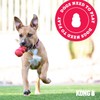 KONG Puppy Goodie Bone - Stuffable Toy for Small Puppy