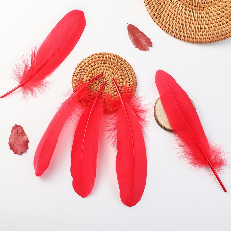 Ballinger Red Large Goose Feather Bulk for Crafts,120Pcs,6-8inch